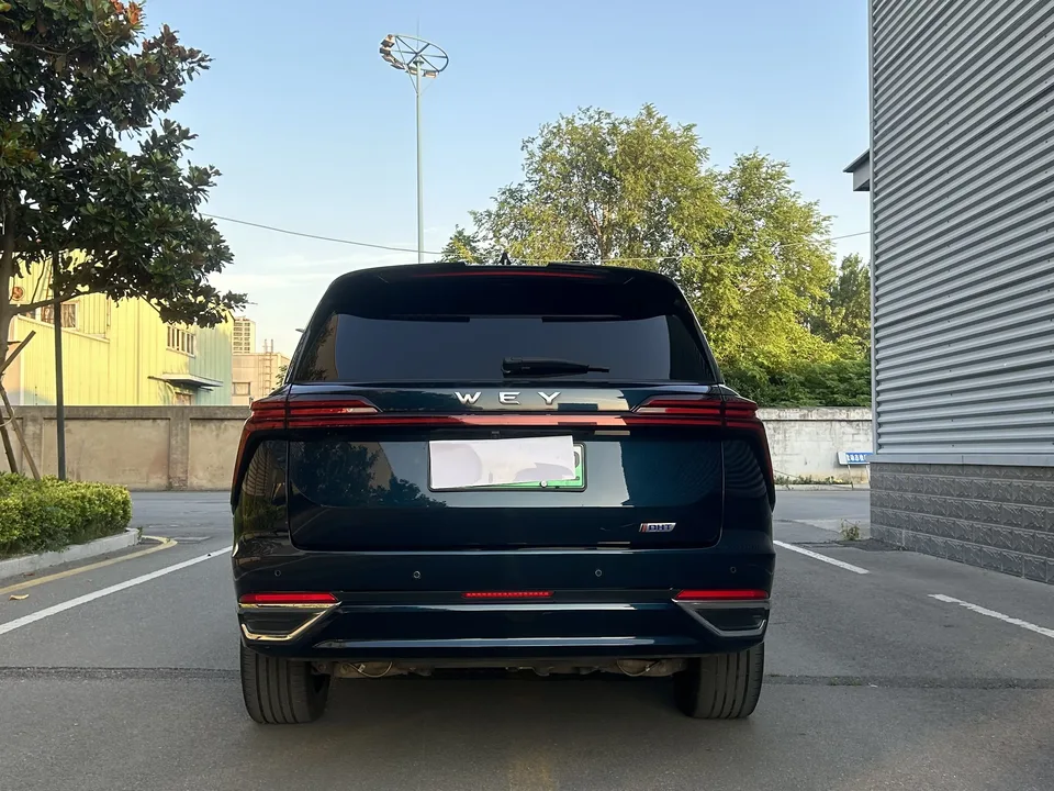 WEY Blue Mountain Blue Mountain 2023 Four-wheel drive long-range version 2023 — thumbnail 2