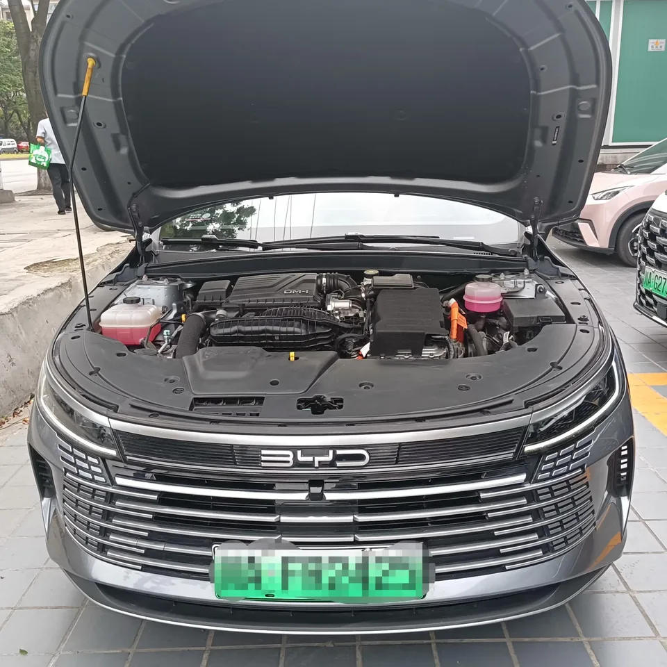 BYD Destroyer 05 Destroyer 05 2024 Honor Edition DM-i 120KM Premium 2024 — thumbnail 2