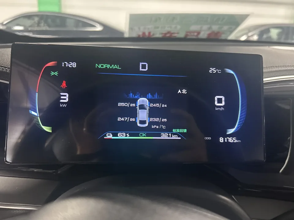 BYD Qin PLUS EV Qin PLUS EV 2024 Honor Edition 510KM Leading Edition 2024 — миниатюра 3