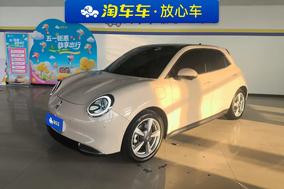 ORA Euler good cat Euler good cat 2021 400km standard range Athena version lithium iron phosphate battery 2022 — photo 1, buy with delivery to Moscow