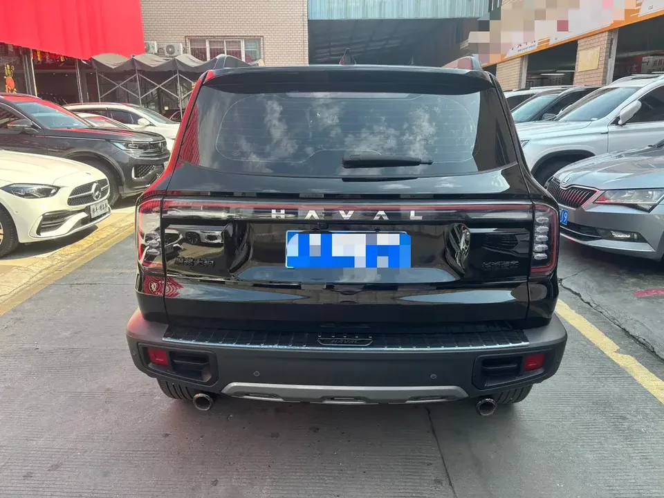 Haval Dargo Harvard dog 2024 1.5T 2WD Border Collie Edition 2024 — thumbnail 2