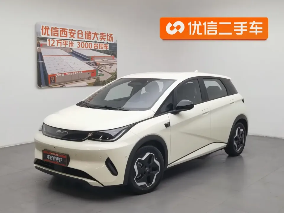 BYD Dolphin dolphin 2025 Smart Driving Edition 420KM Free Edition 2025 — photo 1, buy with delivery to Moscow