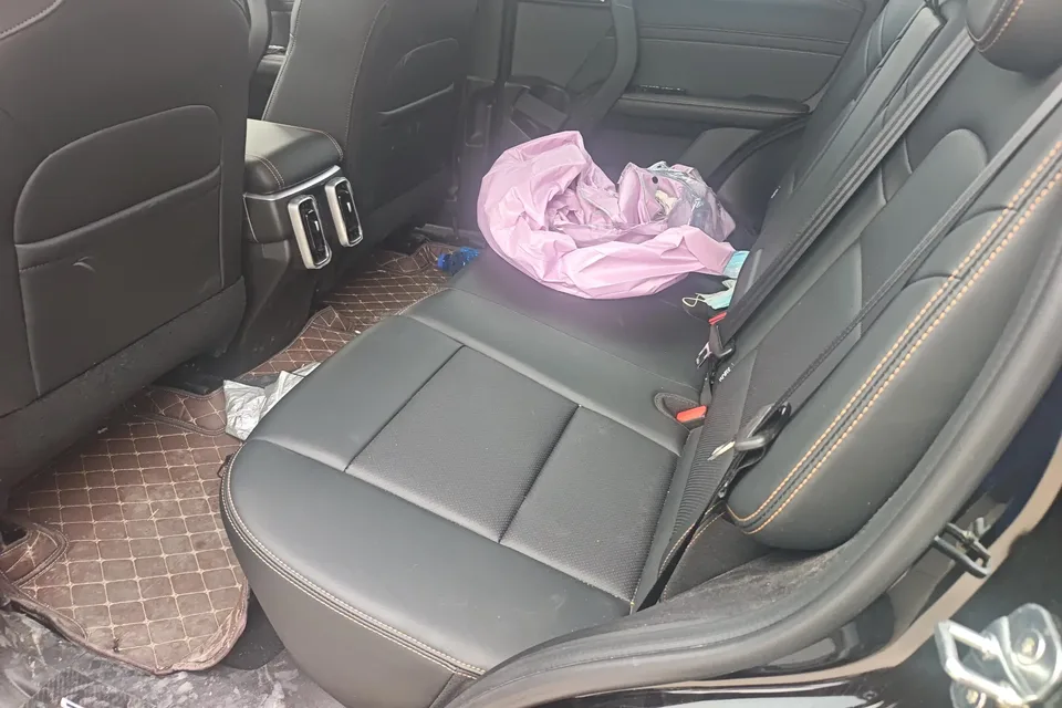 Haval Dargo Harvard dog 2026 1.5T 2WD Border Collie Edition 2025 — миниатюра 5