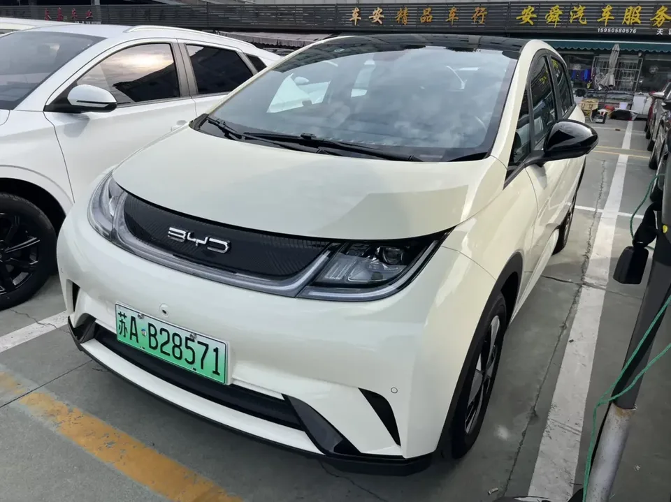 BYD Dolphin dolphin 2023 Fashion version 2023 — photo 1, buy with delivery to Moscow