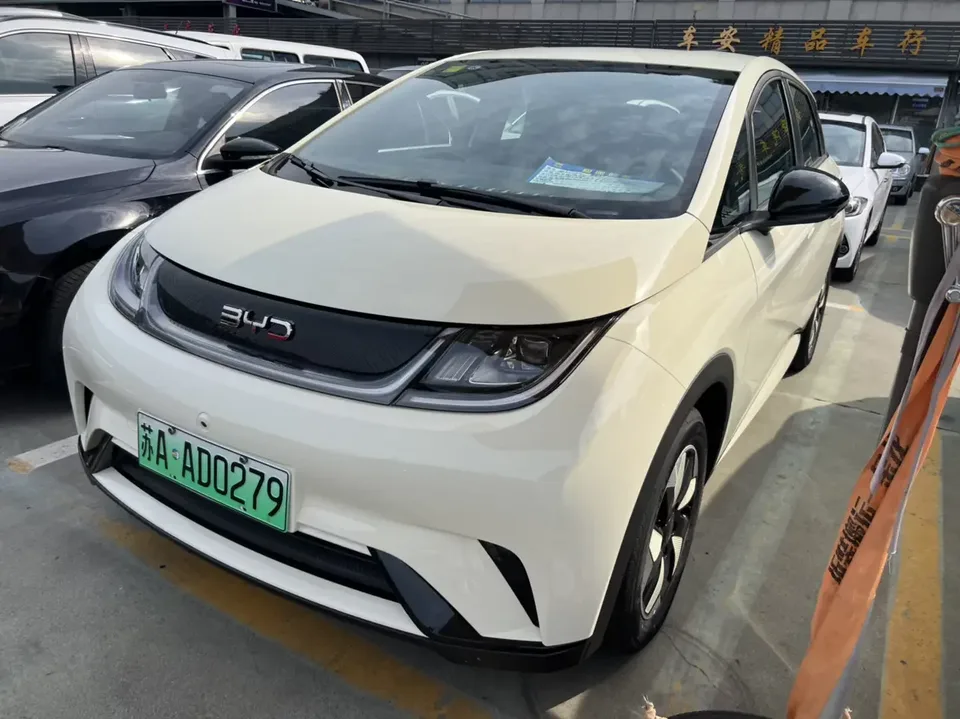 BYD Dolphin dolphin 2025 420KM Free Edition 2026 — photo 1, buy with delivery to Moscow