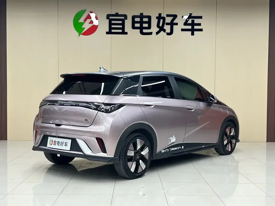 BYD Dolphin dolphin 2021 Knight Edition 2023 — thumbnail 2