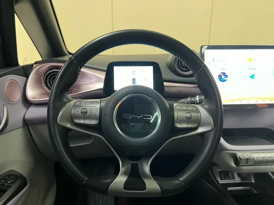 BYD Dolphin dolphin 2021 Knight Edition 2023 — thumbnail 3