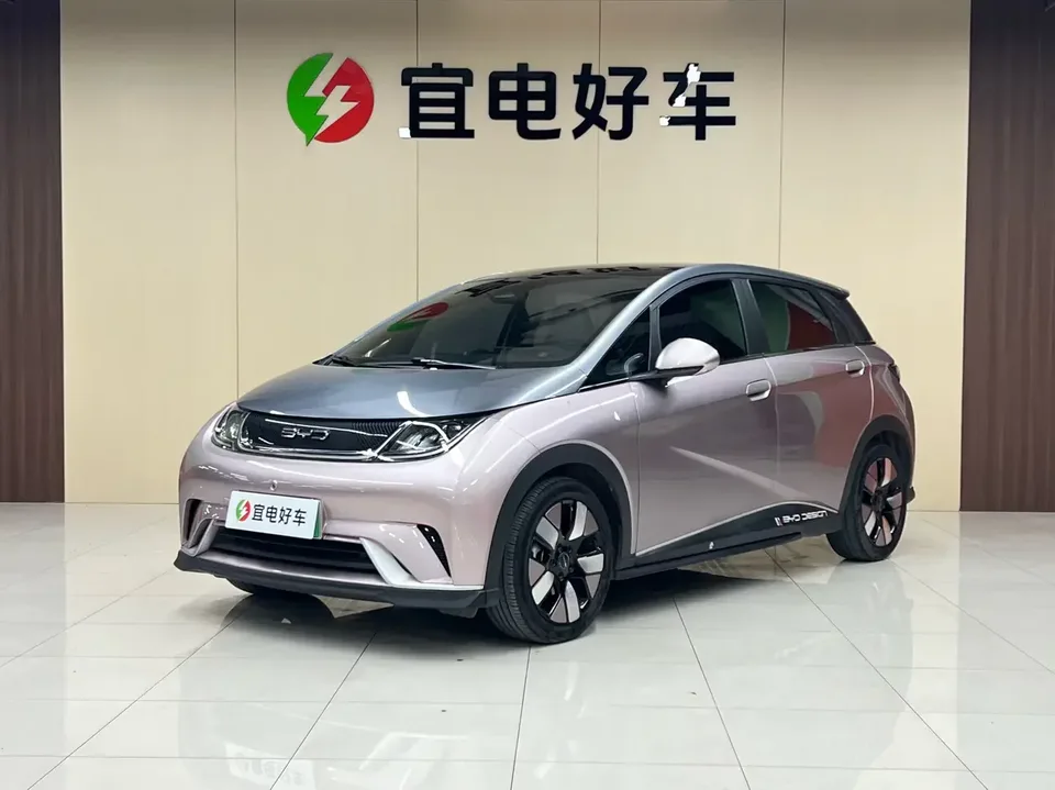 BYD Dolphin dolphin 2021 Knight Edition 2023 — photo 1, buy with delivery to Moscow