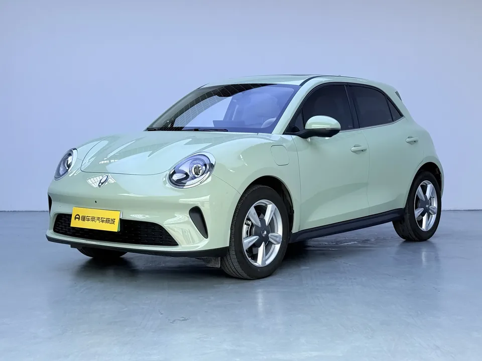 ORA Euler good cat Euler good cat 2025 430km Luxury 2025 — photo 1, buy with delivery to Moscow