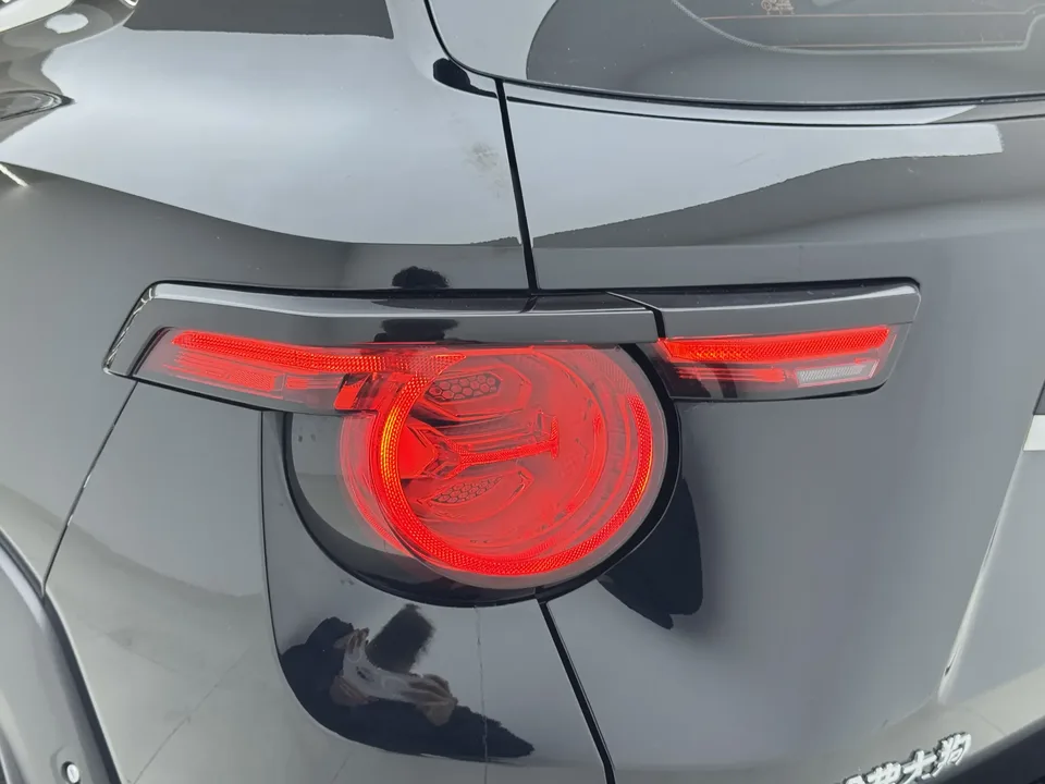 Haval H-Dog Haval Big Dog PLUS 2023 2.0T 2WD Trendy Wild Edition 2024 — thumbnail 4