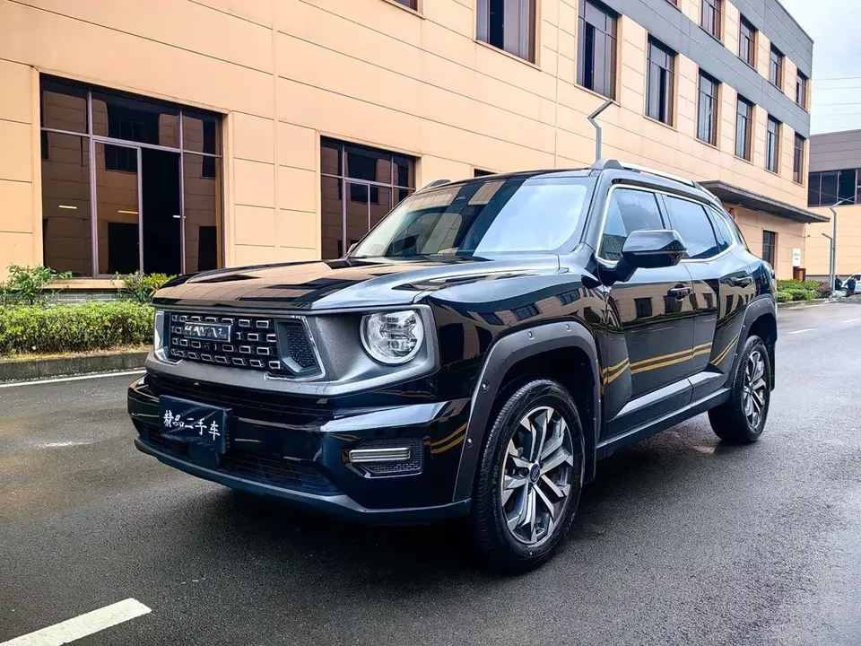 Haval H-Dog Haval Big Dog PLUS 2023 1.5T 2WD Trendy Wild Edition Plus 2024 — photo 1, buy with delivery to Moscow