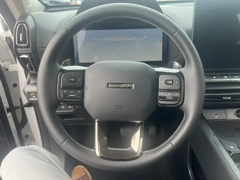 Haval H-Dog Haval Big Dog PLUS 2023 2.0T 2WD Trendy Wild Edition Plus 2024 — миниатюра 4