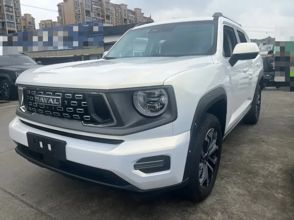 Haval H-Dog Haval Big Dog PLUS 2023 2.0T 2WD Trendy Wild Edition Plus 2024 — фото 1, купить с доставкой в Москву