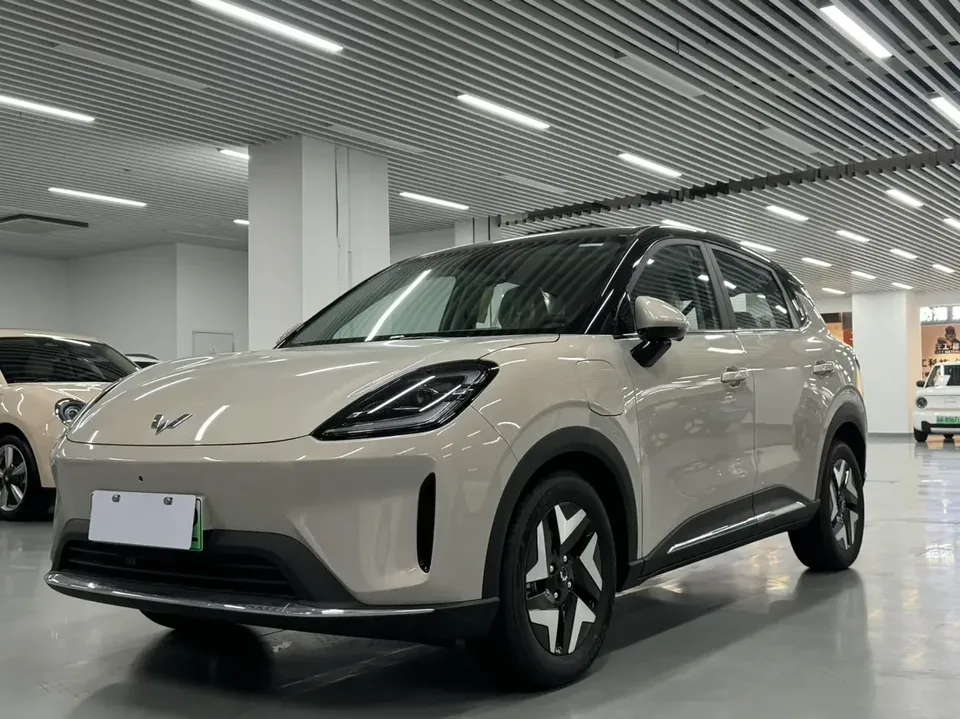 Wuling Bingo S Bingo S 2025 430km Flagship Model 2026 — photo 1, buy with delivery to Moscow
