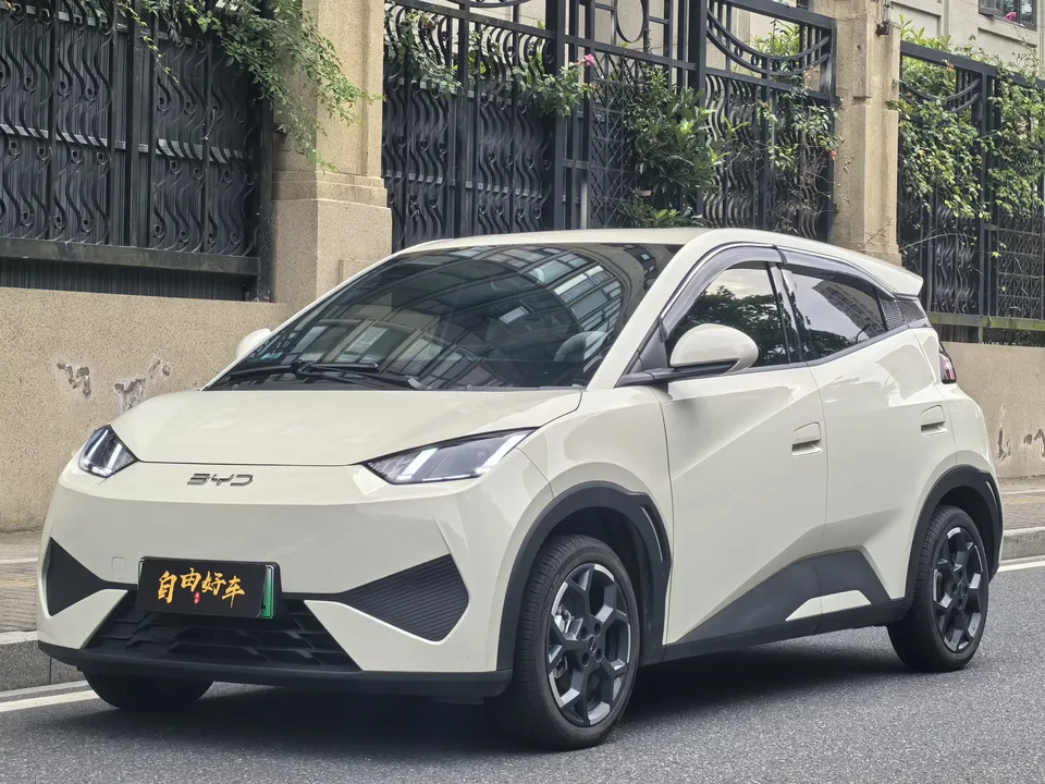 BYD Seagull seagull 2025 Smart Driving Edition 405KM Free Edition 2025 — photo 1, buy with delivery to Moscow