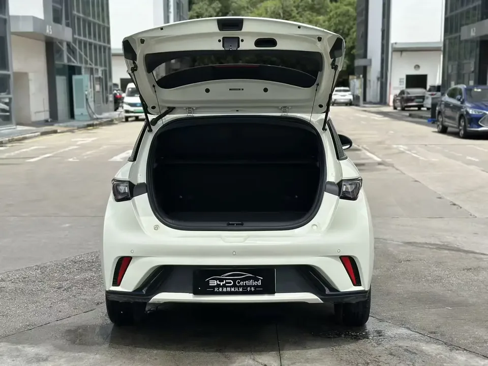 BYD Dolphin dolphin 2024 420KM Vitality Edition 2025 — thumbnail 3