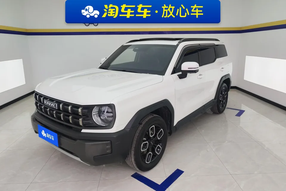 Haval cool dog Haval cool dog 2022 1.5T Tide Edition 2023 — photo 1, buy with delivery to Moscow