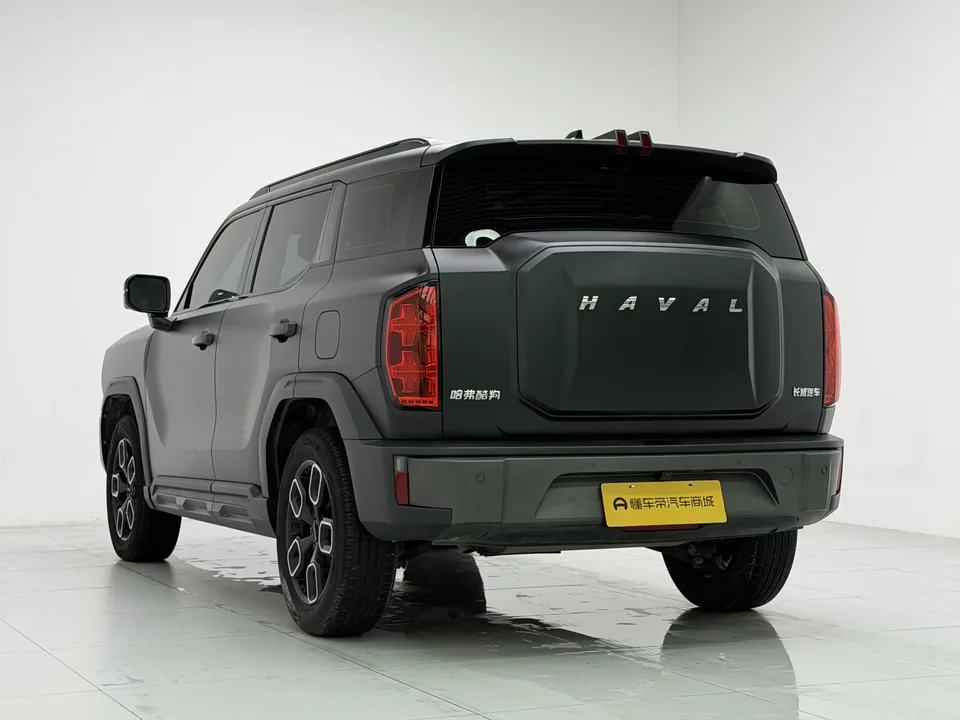 Haval cool dog Haval cool dog 2022 1.5T Tide Edition 2022 — thumbnail 2