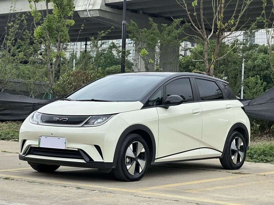 BYD Dolphin dolphin 2023 Free version 2023 — photo 1, buy with delivery to Moscow