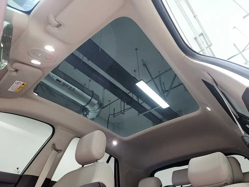 Firefly firefly firefly 2025 Luminous version 2025 — thumbnail 5