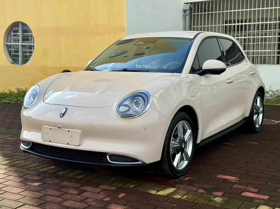 ORA Euler good cat Euler good cat 2023 401km standard endurance luxury lithium iron phosphate 2024 — photo 1, buy with delivery to Moscow