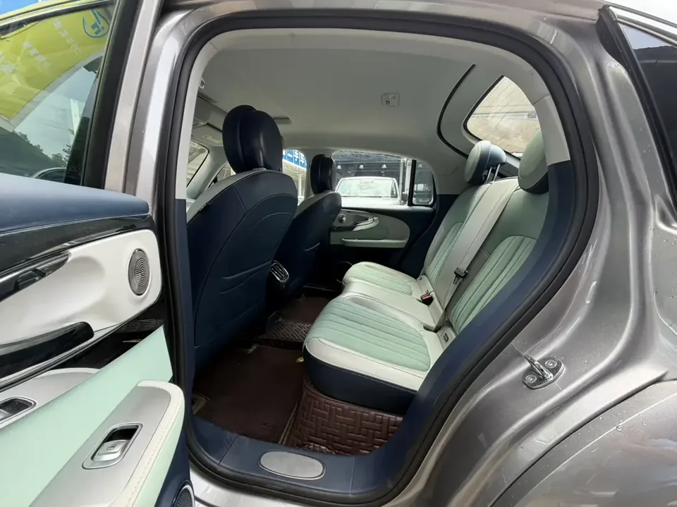 ORA Euler ballet cat Euler ballet cat 2023 401km Premium Edition 2023 — миниатюра 3