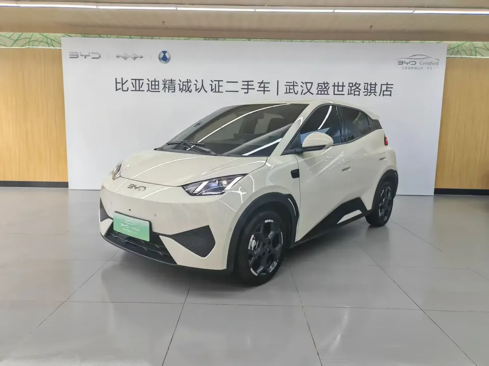 BYD Seagull seagull 2025 Smart Driving Edition 305KM Vitality Edition 2025 — photo 1, buy with delivery to Moscow