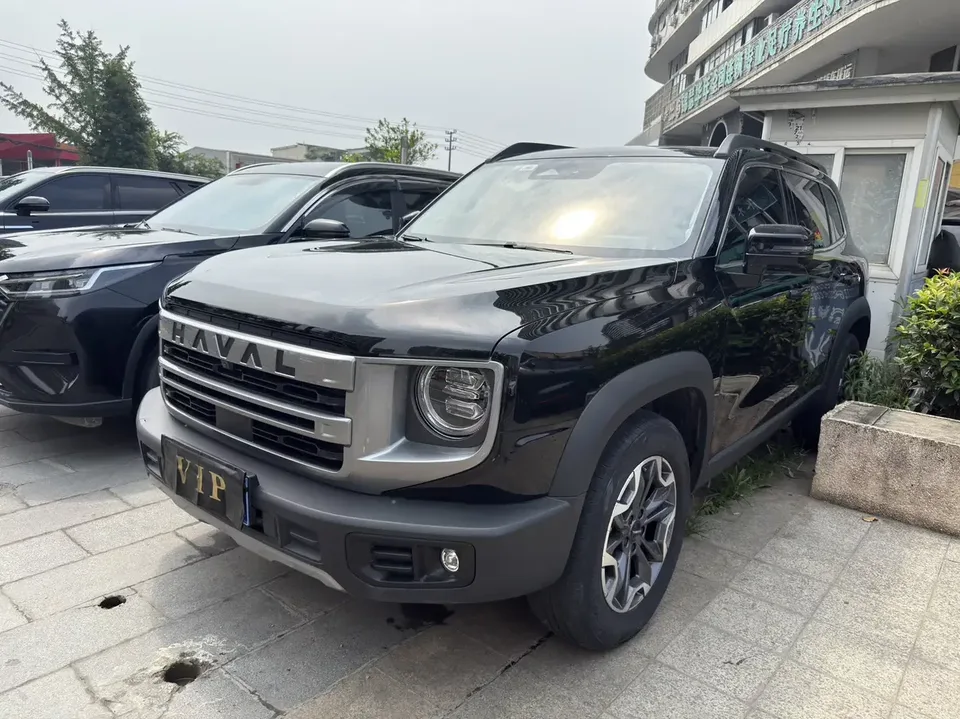 Haval Dargo Harvard dog 2024 2.0T 4WD Chinese Rural Dog Edition 2024 — photo 1, buy with delivery to Moscow