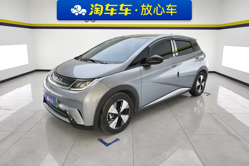 BYD Dolphin dolphin 2023 Fashion version 2023 — photo 1, buy with delivery to Moscow