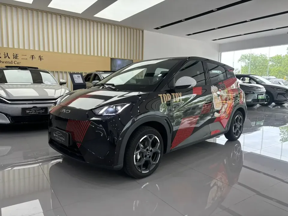 BYD Seagull seagull 2025 Smart Driving Edition 305KM Free Edition 2025 — photo 1, buy with delivery to Moscow