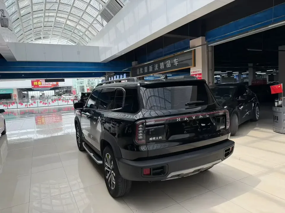 Haval Dargo Harvard dog 2024 1.5T 2WD Border Collie Edition 2024 — thumbnail 4