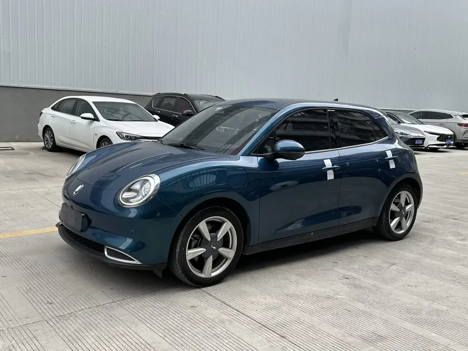 ORA Euler good cat Euler good cat 2021 400km standard endurance business version ternary lithium battery 2022 — photo 1, buy with delivery to Moscow