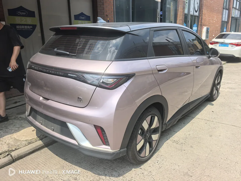 BYD Dolphin dolphin 2023 Knight Edition 2024 — thumbnail 2