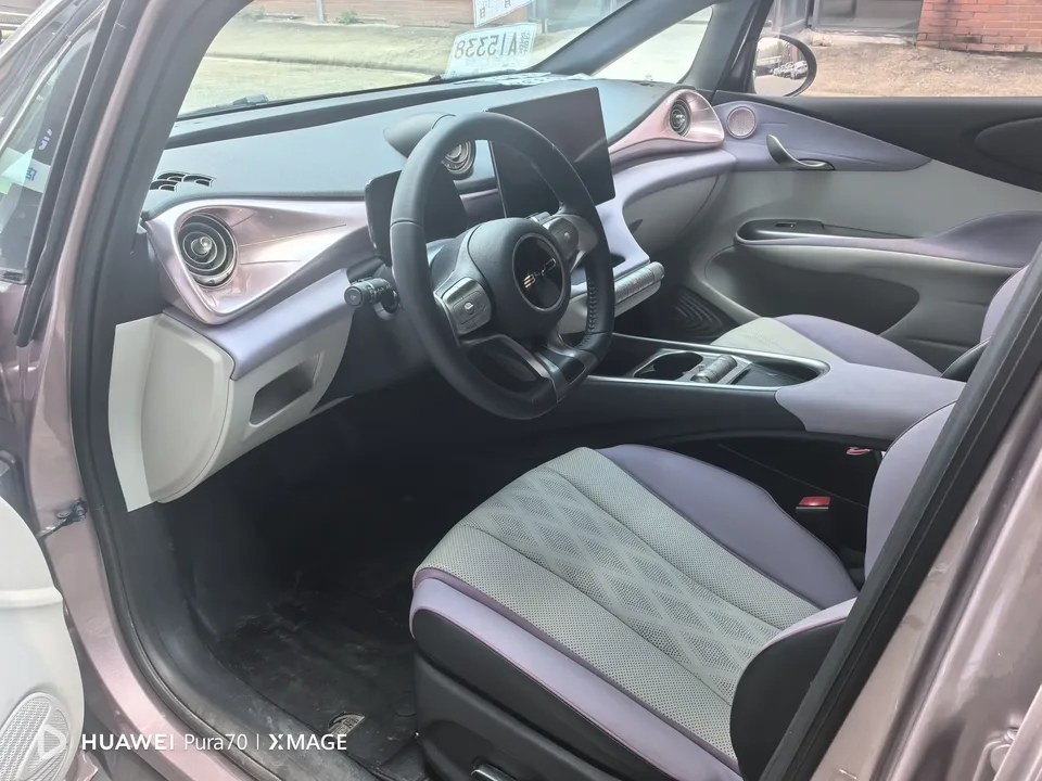 BYD Dolphin dolphin 2023 Knight Edition 2024 — thumbnail 3