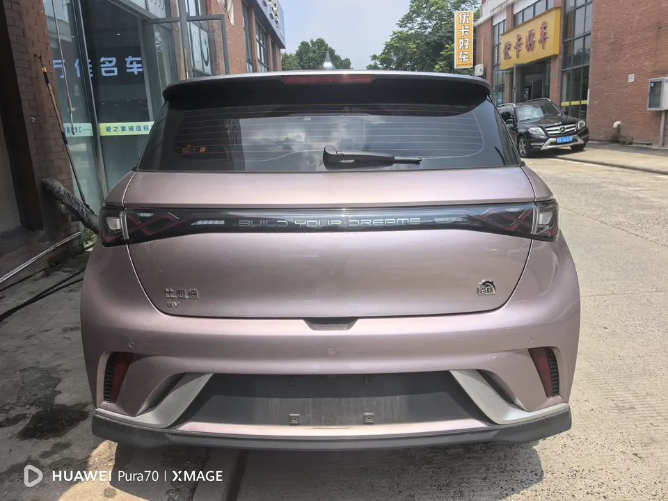 BYD Dolphin dolphin 2023 Knight Edition 2024 — thumbnail 4