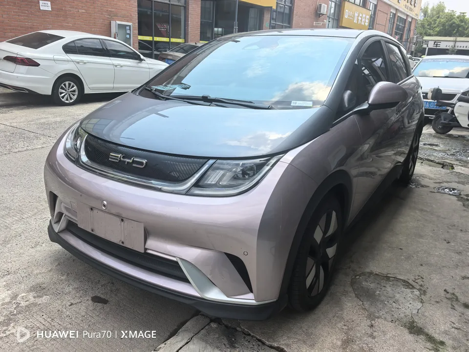 BYD Dolphin dolphin 2023 Knight Edition 2024 — photo 1, buy with delivery to Moscow