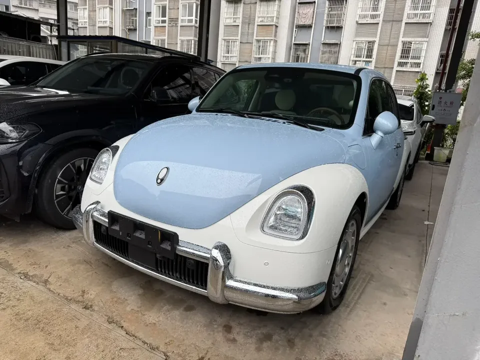 ORA Euler ballet cat Euler ballet cat 2023 500km Premium Edition 2024 — photo 1, buy with delivery to Moscow