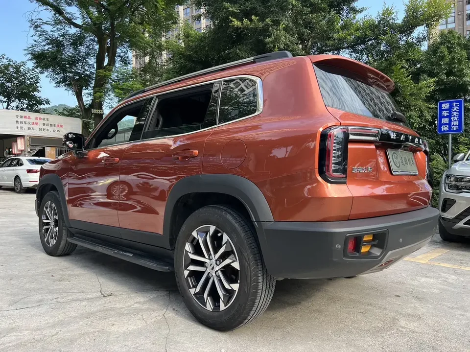 Haval Dargo Harvard dog 2022 1.5T 2WD Border Collie Edition 2022 — thumbnail 2