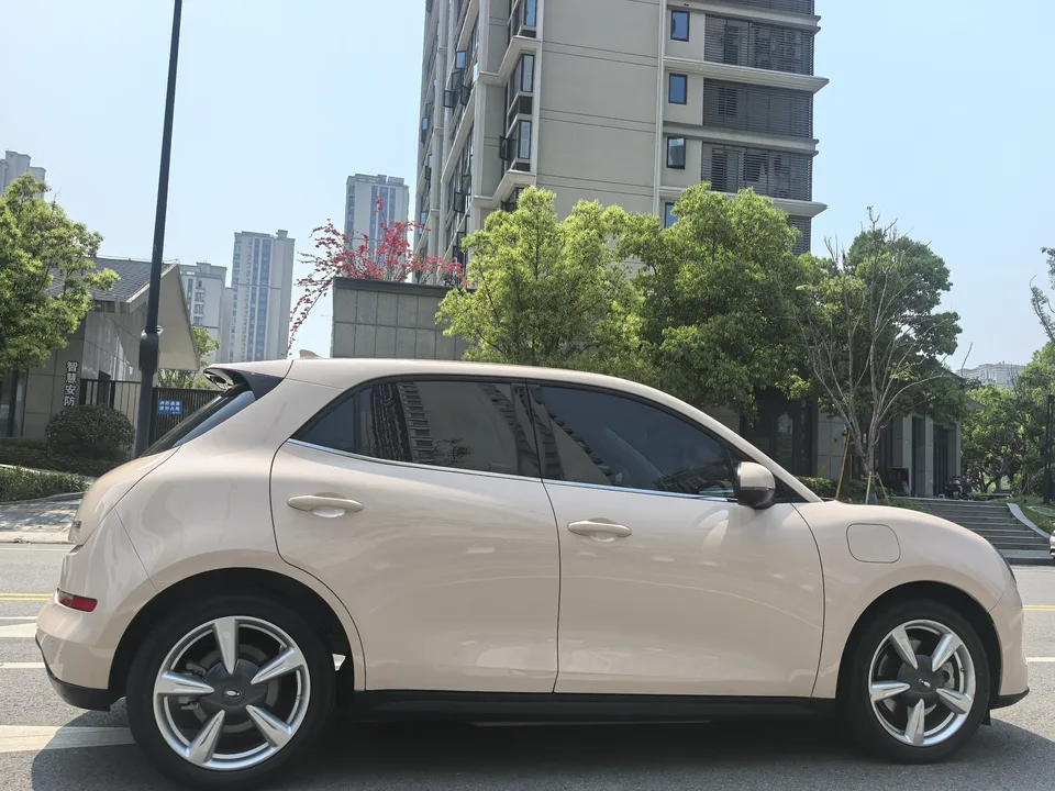 ORA Euler good cat Euler good cat 2023 401km standard endurance luxury lithium iron phosphate 2024 — thumbnail 2