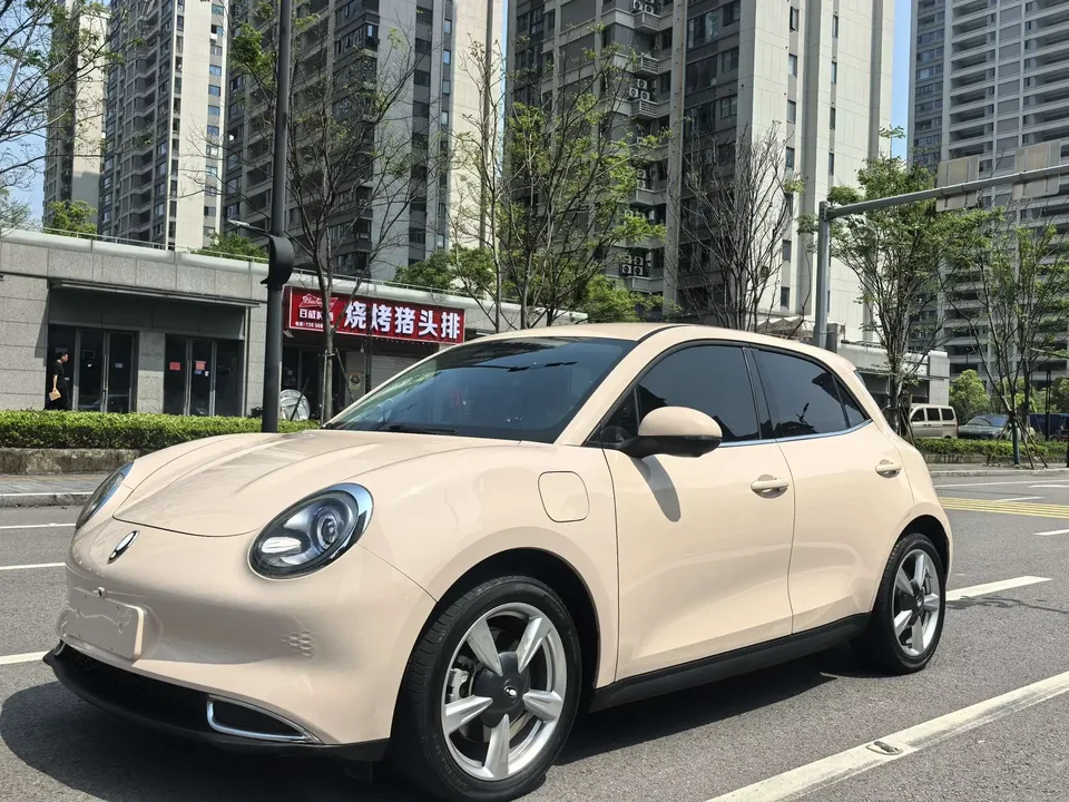 ORA Euler good cat Euler good cat 2023 401km standard endurance luxury lithium iron phosphate 2024 — photo 1, buy with delivery to Moscow