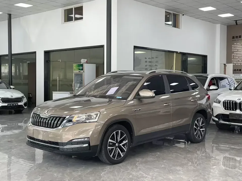 Skoda Comek Comek 2022 1.5L Automatic Comfort Edition 2022 — photo 1, buy with delivery to Moscow