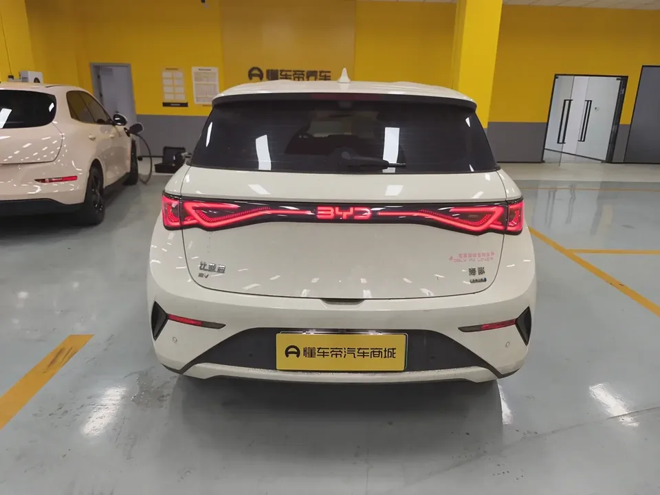 BYD Dolphin dolphin 2025 Smart Driving Edition 420KM Free Edition 2025 — миниатюра 2