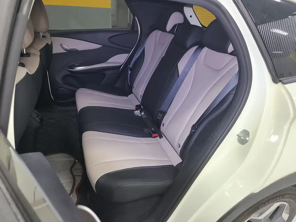 BYD Dolphin dolphin 2025 Smart Driving Edition 420KM Free Edition 2025 — миниатюра 3
