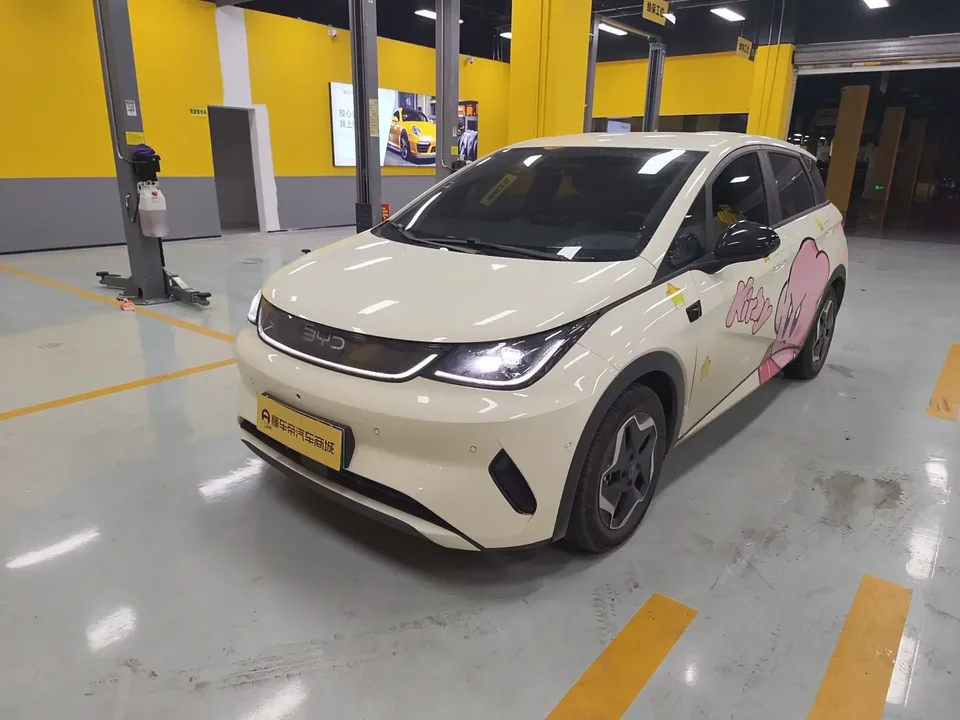 BYD Dolphin dolphin 2025 Smart Driving Edition 420KM Free Edition 2025 — photo 1, buy with delivery to Moscow