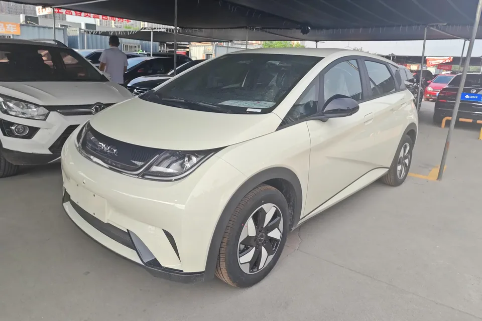 BYD Dolphin dolphin 2025 420KM Free Edition 2026 — photo 1, buy with delivery to Moscow