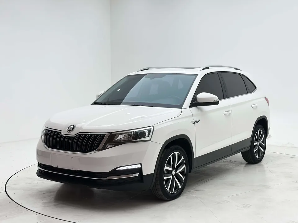 Skoda Comek Comek 2022 1.5L Automatic Comfort Edition 2022 — photo 1, buy with delivery to Moscow