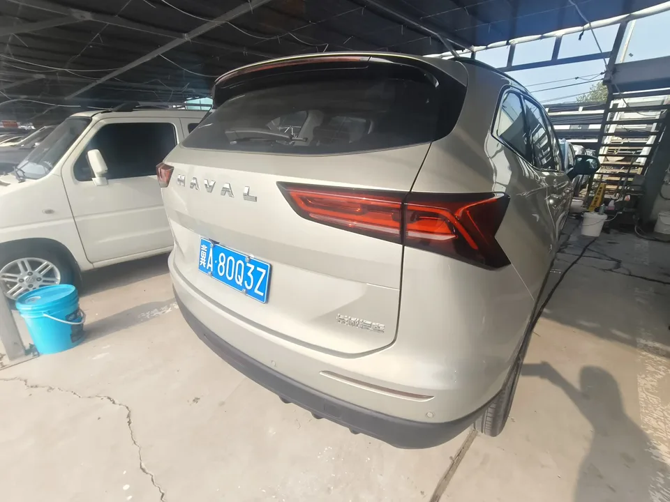 Haval H6 Haval H6 2024 1.5T Automatic 2WD Pro Edition 2024 — thumbnail 2