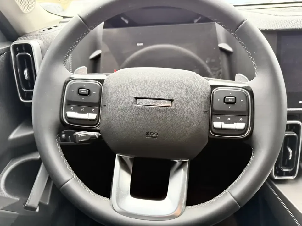 Haval Dargo Harvard dog 2024 1.5T 2WD Border Collie Edition 2024 — thumbnail 3