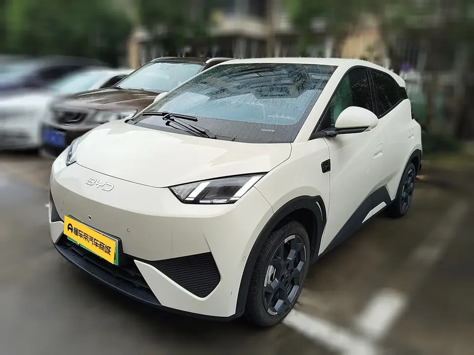 BYD Seagull seagull 2025 Smart Driving Edition 405KM Flying Edition 2025 — photo 1, buy with delivery to Moscow