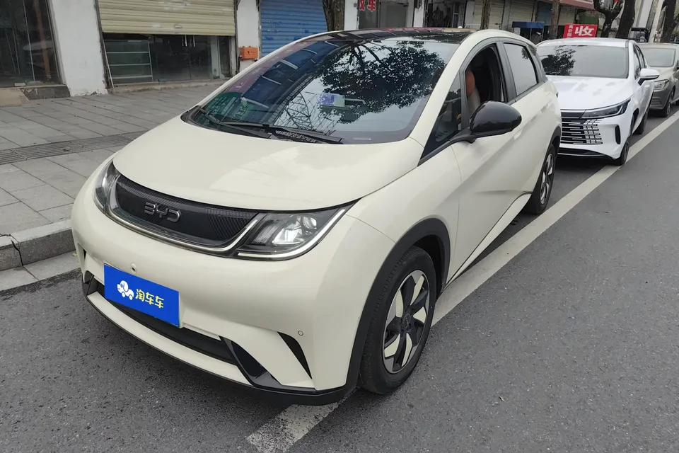 BYD Dolphin dolphin 2025 420KM Fashion Edition 2024 — photo 1, buy with delivery to Moscow